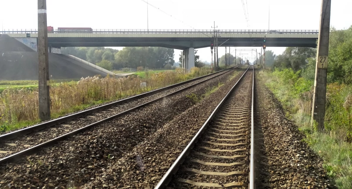 Tory kolejowe na szlaku Elbląg - Tropy i wiadukt drogowy w tle ( fot. PKP Polskie Linie Kolejowe S.A)