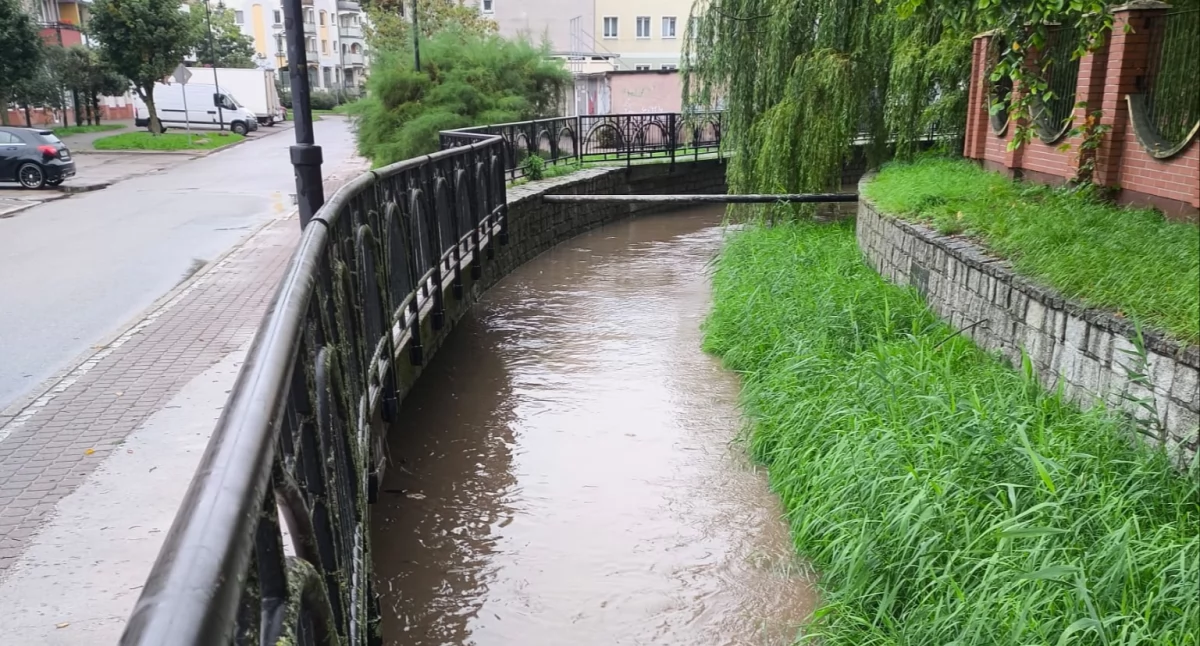 fot. KMP Elbląg