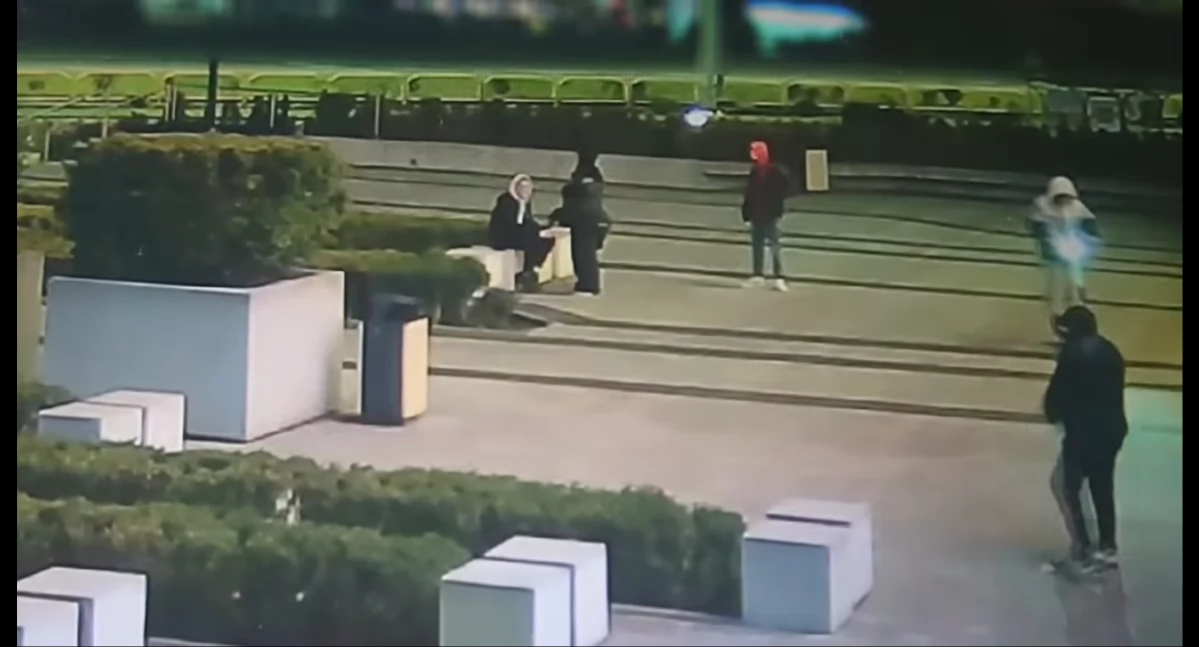 Komunikaty policji , Strzały pistoletów gazowych Ogrody - zdjęcie, fotografia