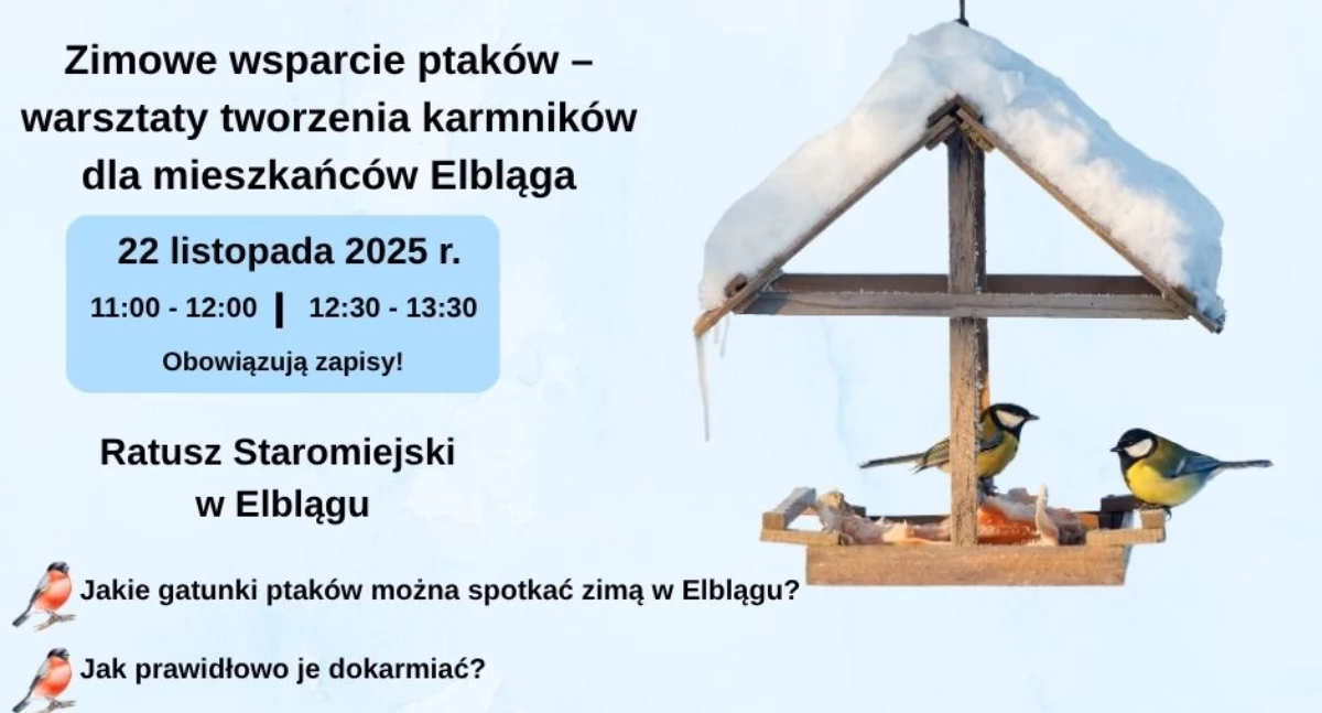 fot. materiały organizatora