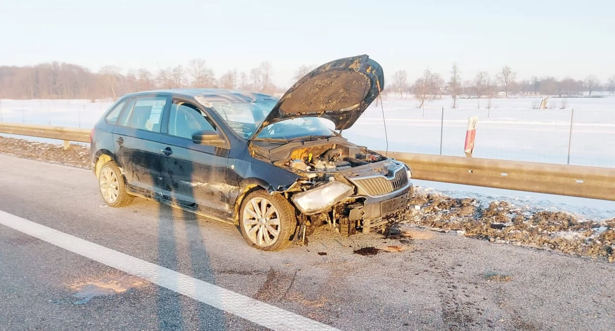 fot. KMP Elbląg 