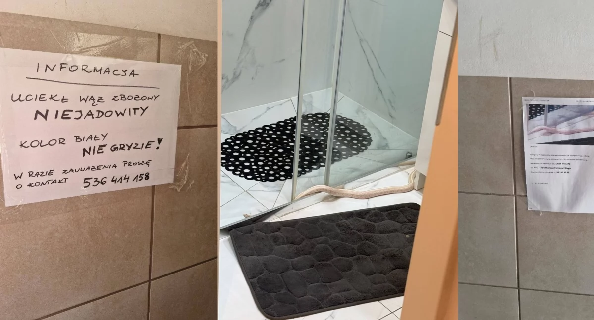 fot. KMP Elbląg/SM Elbląg