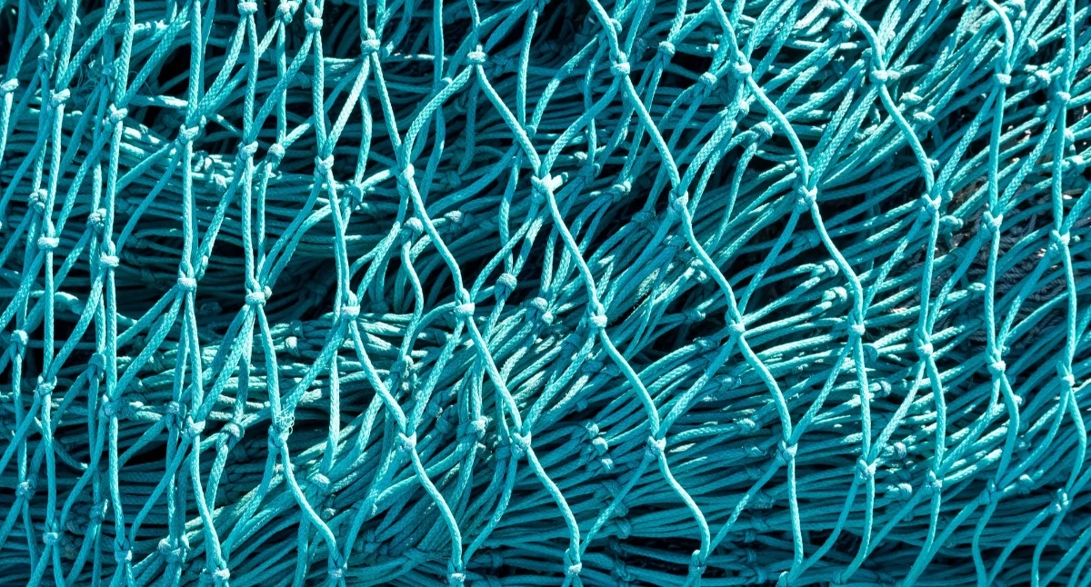 Materiały promocyjne, Sprzęt połowu przypadek decydują parametry - zdjęcie, fotografia