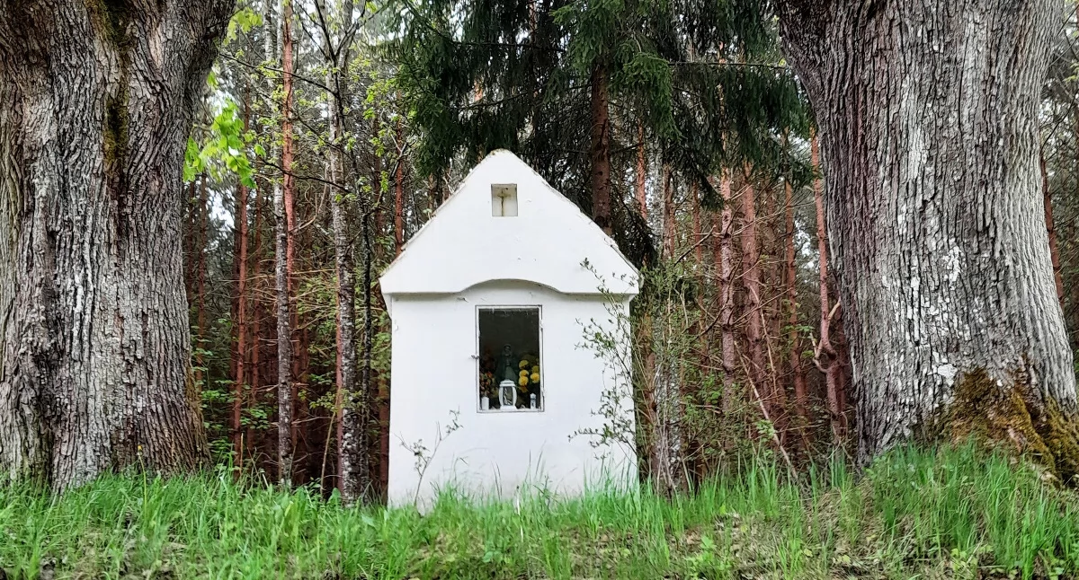 Leśna kapliczka (fot. Igor Hrywna)