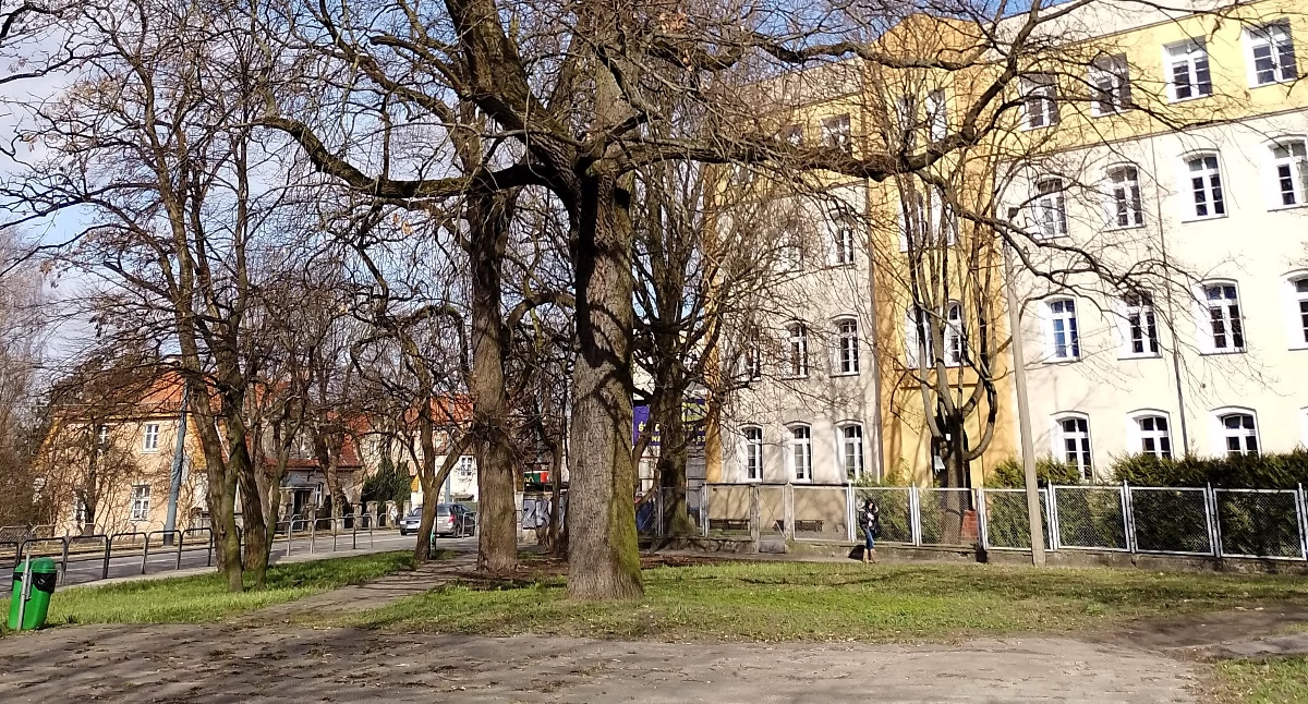 fot. UM Elbląg