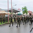 Fotka nr 1 z 12