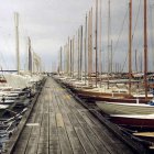 Fotka nr 4 z 43
