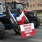 zdjęcie nr 55