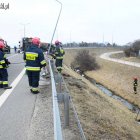 zdjęcie nr 11