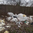 Akcja Posesja 2019 Straż Miejska w Elblągu