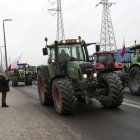zdjęcie nr 135