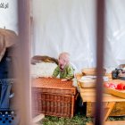 zdjęcie nr 11