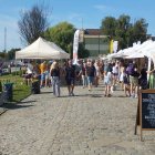 zdjęcie nr 15