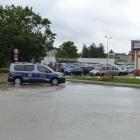 zdjęcie nr 44