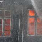 zdjęcie nr 11