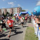 zdjęcie nr 229