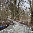 zdjęcie nr 33