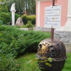 zdjęcie nr 43