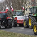 zdjęcie nr 12