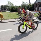 zdjęcie nr 121