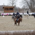 zdjęcie nr 27