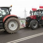 zdjęcie nr 114