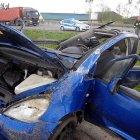 zdjęcie nr 7