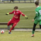 zdjęcie nr 13