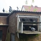 zdjęcie nr 14