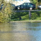 zdjęcie nr 7