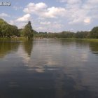 zdjęcie nr 118