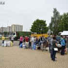zdjęcie nr 10