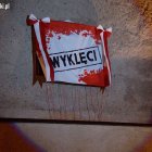 zdjęcie nr 11