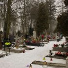 zdjęcie nr 10