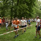 zdjęcie nr 82