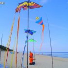 Kiteweekend. Impreza latawcowa na plażach Mierzei Wiślanej Aleksandra Szymańska