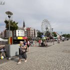 zdjęcie nr 77