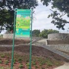 zdjęcie nr 10