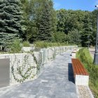 zdjęcie nr 50