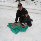 Straż Miejska w Elblągu