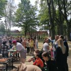zdjęcie nr 31
