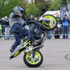 zdjęcie nr 176