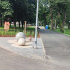  Dziennik Elbląski 