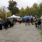 zdjęcie nr 28