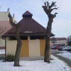 Podcinka drzew na osiedlu Za Politechniką nadesłane