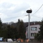 Bocian gnazduje w Rubnie Aleksandra Szymańska