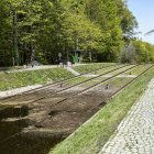zdjęcie nr 52