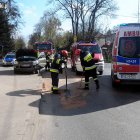 zdjęcie nr 7