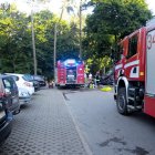 zdjęcie nr 12