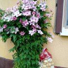 zdjęcie nr 88